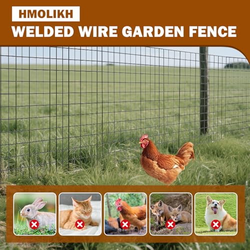Black Vinyl Coated Welded Mesh Fence 24" x 50ft PVC Chicken Wire Fencing 16 Gauge 2" x 3" Gap for Vegetable Garden, Yard,Animal Protection,Pet Enclosures DIY Projects Poultry Netting - size: 24" x 50 ft