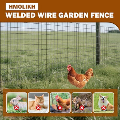 Black Vinyl Coated Welded Mesh Fence 24" x 50ft PVC Chicken Wire Fencing 16 Gauge 2" x 3" Gap for Vegetable Garden, Yard,Animal Protection,Pet Enclosures DIY Projects Poultry Netting - size: 24" x 50 ft