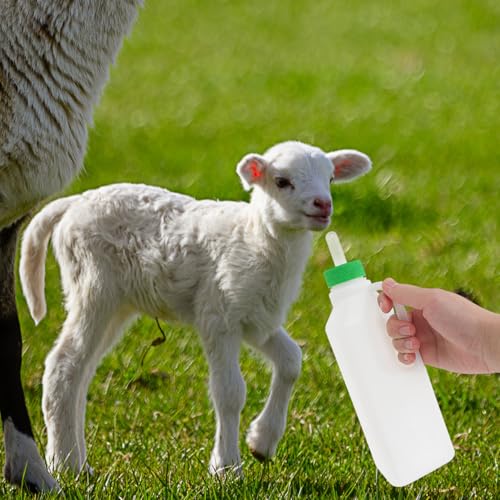 6 Pack Goat Bottle Nipples Lamb Milk Drink Nipples for Sheep Calf Nursing Bottle Pacifier Baby Livestock Feeding Tool Smooth Surface Easy to Clean 1.65 X 1.29 X 1.29 in