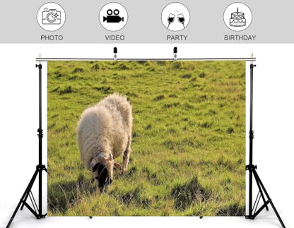 5x3ft Fabric Fluffy Wool Sheep Backdrop Rolling Green Grassland Pasture Farm Wildlife Photography Background Tapestry Country Farm Animal Decorations Banner Photo Booth Props - size: 5x3ft