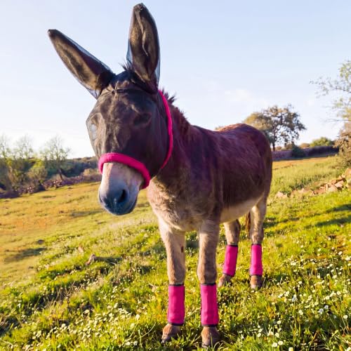Mini Donkey Fly Mask with Ears and 4 Set Donkey Fly Boots Mule Leggings, Breathable Stretchy Mule Leg Wraps Mask Boots with Mesh Eye Covers from Insects and Bugs with Adjustable (Rose Red) - color: Rose Red