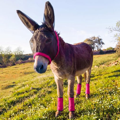 Mini Donkey Fly Mask with Ears and 4 Set Donkey Fly Boots Mule Leggings, Breathable Stretchy Mule Leg Wraps Mask Boots with Mesh Eye Covers from Insects and Bugs with Adjustable (Rose Red) - color: Rose Red