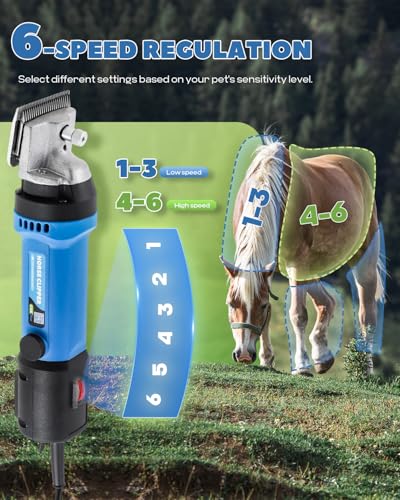 Horse Clippers 690W 28000RPM, with 6 Speed Adjustable