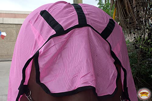HILASON Horse Fly Sheet Breathable Mesh UV Protection Mosquito Bug Summer - color: Pink W/ Black Piping, size: 84 In