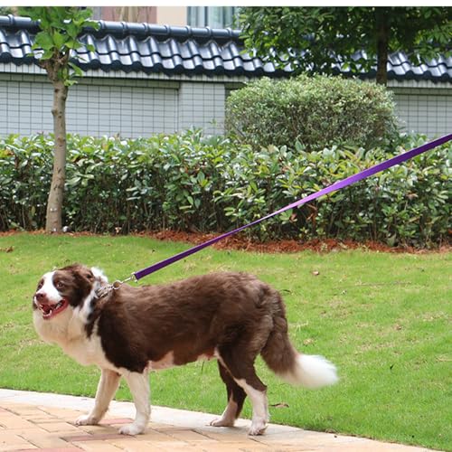 AMAGOOD Dog/Puppy Obedience Recall Training Agility Lead-15 ft 20 ft 30 ft 50 ft Long Leash-for Dog Training,Tie Out,Play,Safety,Camping (15Feet x 1Inch, Purple) - color: Purple, size: 1 Inch x 15 Feet