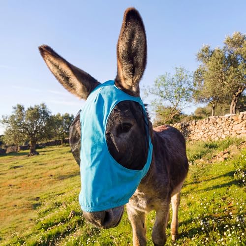 Mini Donkey Fly Mask, Stretchy Breathable Mule Mask with Big Mesh Eye Covers, Without Ears, Soft on Skin, Comfortable Breathable Protection from Insects and Bugs - color: Blue, Without Ear, size: Mini