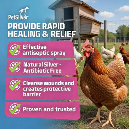 PetSilver Chicken Wound Spray, Silver Spray for Wounds, USA Made, 12 fl oz