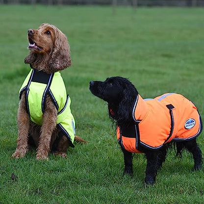 WeatherBeeta ComFiTec Reflective Parka 300D Deluxe Dog Coat, Yellow, 20" - color: Yellow, size: 20"