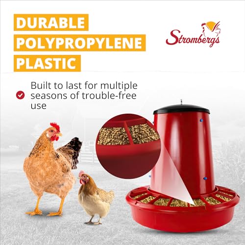 Stromberg's 50 lb Capacity Hanging Feed Saver Feeder | Large Capacity Durable Feeder with Feed Saver Grill.