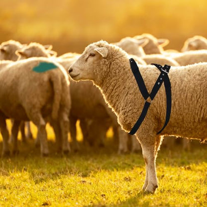 Ram Breeding Marking Harness for Sheep&Goat with Mating Crayon Block Marker