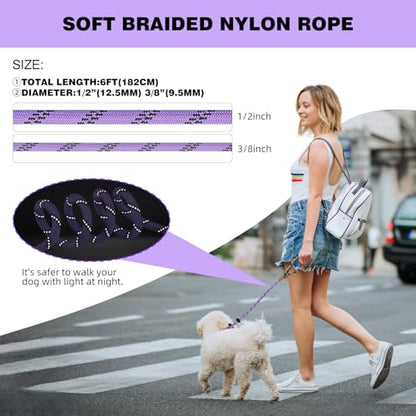 lynxking Dog Leash 3/8in x 6ft Slip Lead Reflective Pink and Purple, 2 Pack