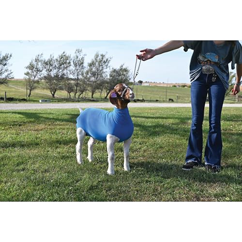 Weaver Livestock Spandex Goat Tube - size: Small, style: Blue