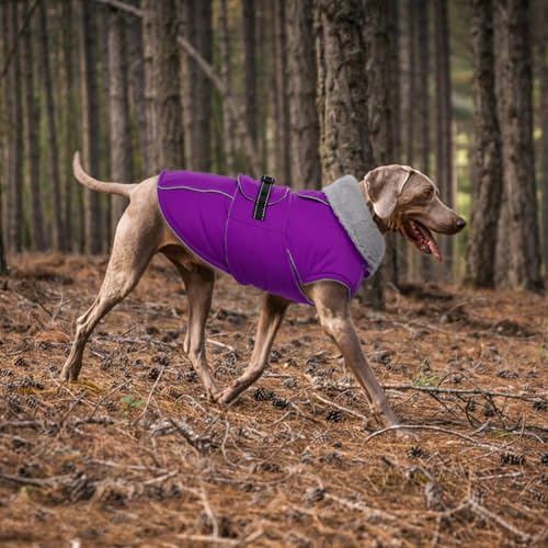 Lelepet Dog Winter Coats for Small Dogs Dog Jacket with Adjustable Buckle - color: Purple, size: S