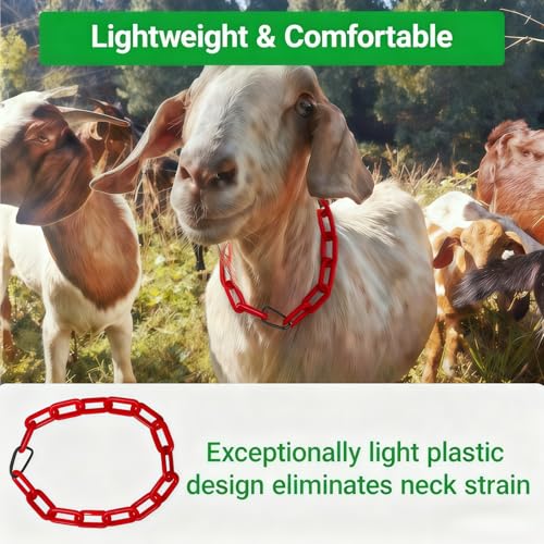 10FT Breakaway Livestock Goat Collars - Customizable into 6 Individual Adjustable Safety Collars, Plastic Chain with Quick-Release Links for Goats, Sheep, Alpacas (Red)