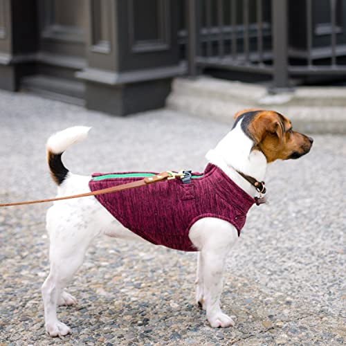 Gooby Zip-Up Fleece Dog Sweater, Fuchsia Wash, Small - color: Fuchsia Wash, size: Small chest (~13.5")
