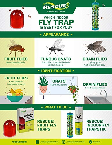 RESCUE! Fruit Fly Trap Bait Refill - 30 Day Supply