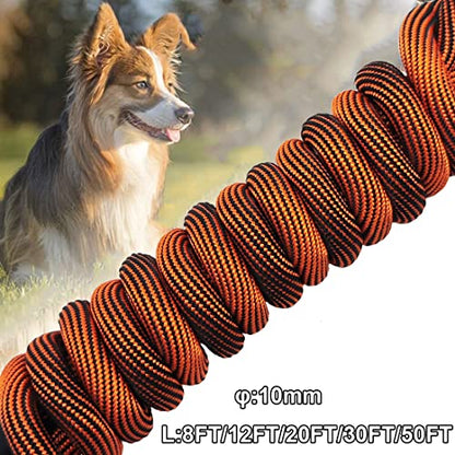 50FT Long Dog Tether + Bungee Leash Extension
