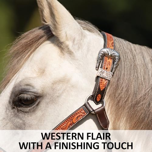 Schneiders McKenzie Padded Leather Ranch Halter for Horses | Premium Argentine Leather with Hand-Tooled Basketweave & Floral Design | Western Style & Comfort Fit
