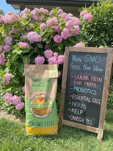 Non-GMO All-Grain Goat Feed 16% Protein - Fortifies with Goat Minerals, Vitamins, and Natural Ingredients for Strong Bones, Healthy Digestion, and Optimal Growth - 10 lb Bag - size: 10 Pound (Pack of 1)