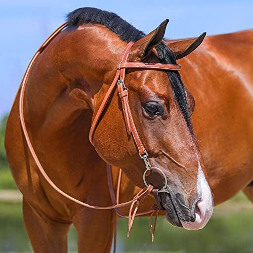 Schneiders Browband Training Bridle with Quick Change Snaps | Ideal for Everyday Riding | Supple Leather | Easy Bit Changes with Chrome Plated Snaps | Adjustable Fit for Most Horses | Size Full Horse