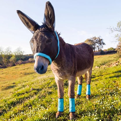 Mini Donkey Fly Mask with Ears and 4 Set Donkey Fly Boots Mule Leggings, Breathable Stretchy Mule Leg Wraps Mask Boots with Mesh Eye Covers from Insects and Bugs with Adjustable - color: Blue