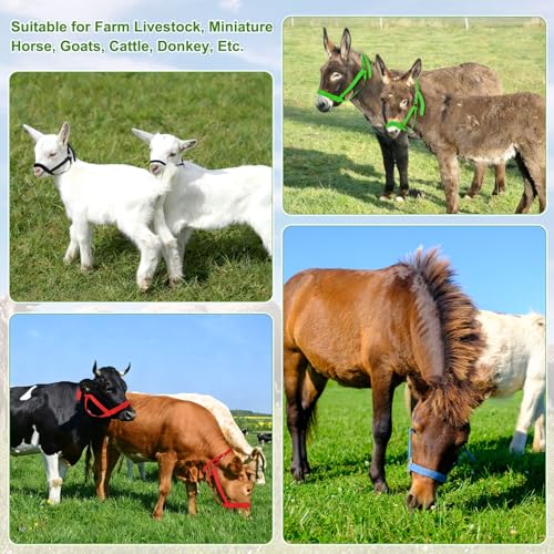 M METERXITY 2-Pack Adjustable Cattle Cow Calf Halter, 15.74"-19.68" Nylon Livestock Cow Halter for Miniature Horse/Donkey/Goat/Cattle [Green/Blue]