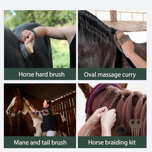 Horse Grooming Kit 13 Piece, Horse Brushes for Grooming Supplies Set