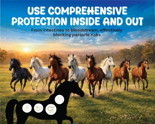 VITALVINE Ivermectin 1.87% Paste for Horses – Apple Flavor 6.08g Syringe, Treats Horses Up to 1250 lbs (3-Pack)