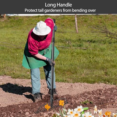 Bow Rake, 17 Prongs Leaf RakeThatch Rake for Lawn,63 Inch Long Handle Yard Rock Rake for Gardening,Detachable Heavy Duty Metal Garden Rake for Loosening Soil, Leveling Lawn, Leaves Cleaning