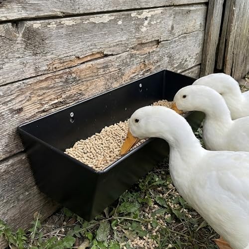 3-Pack 6 Qt Metal Hanging Feed Troughs for Goats, Ducks and Livestock