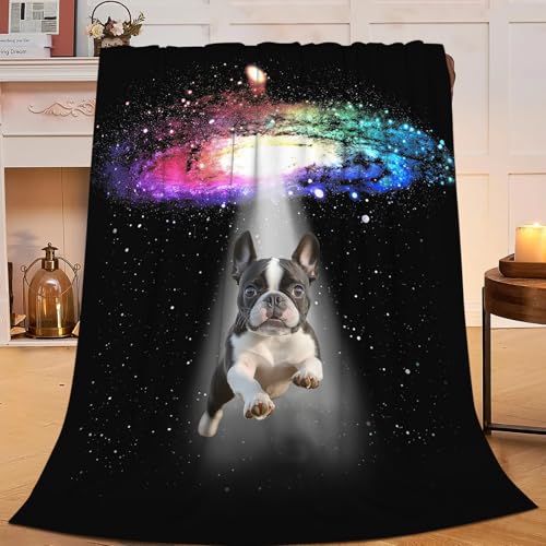 Dynova Boston Terrier Blanket Dog Lovers Gifts Cozy Plush Galaxy Funny Bulldog Throw Blankets Fuzzy Flannel Fleece for Girls Boys Women Men 50"X40" - color: Boston Terrier, size: 50"x40"