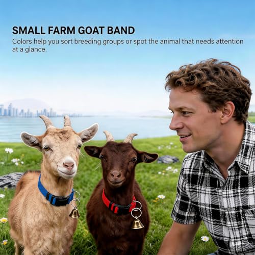 3Pack Goat Collar,with Bells, Adjustable for Small Farm Animals, Goat Supplies and Cow Bell Collar, Sheep, Cow and Grazing