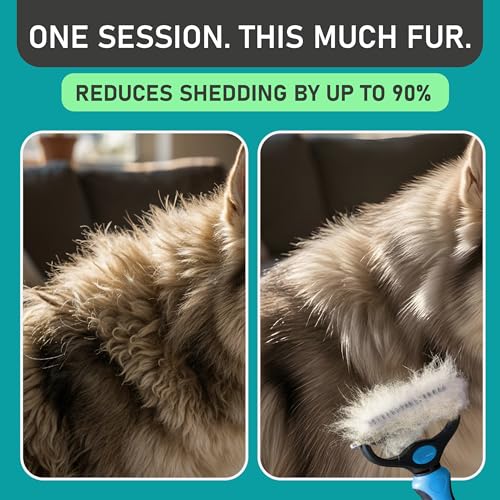 Maxpower Planet Dog Grooming Rake, Deshedding Undercoat Brush, Dogs & Cats - color: Blue, size: Large