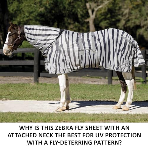 Schneiders Soft Interlock Mesh II Zebra Horse Fly Sheets | Striking Zebra Pattern for Fly Deterrence & Superior UV Protection - size: Horse Size 76, style: Attached Neck Euro Bellyband