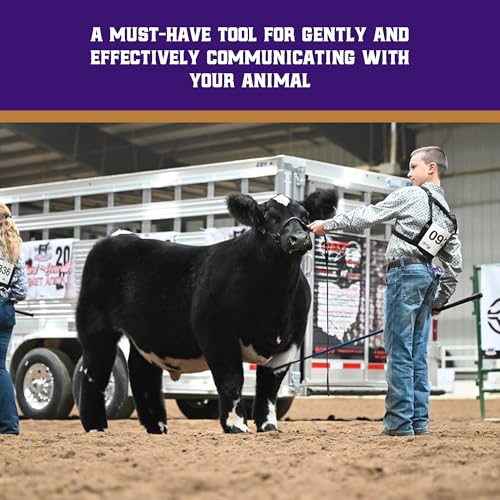 Weaver Livestock Lightweight Aluminum Cattle Show Stick, Comfort Grip Rubber Handle, Guiding Stick, Livestock Show Supplies