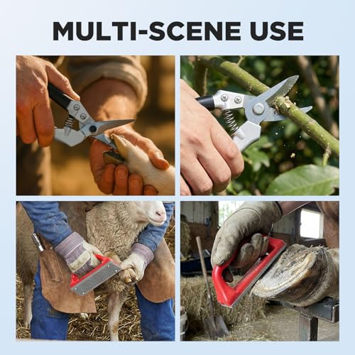 Goat Hoof Trimmers Shears Kit with Rasp, Sheep Care Tool Black Red - color: Black Trimmers Red Rasp