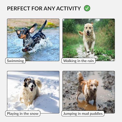 Heavy Duty Waterproof Dog Collar, PVC-Coated Nylon (Blue, 10-13) - color: Blue, size: Neck Fit 10"-13"