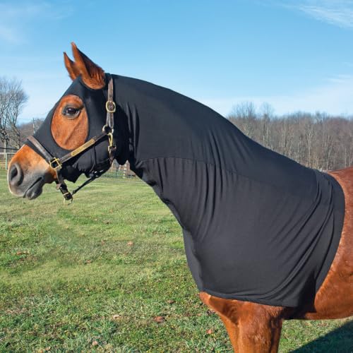 Country Pride Lycra and Mesh Head and Shoulder Hood, Breathable Horse Hood, Prevents Blanket Rubs, Keeps Mane Smooth, Full Separating Zipper, Adjustable Girth, Black (Medium) - size: Medium