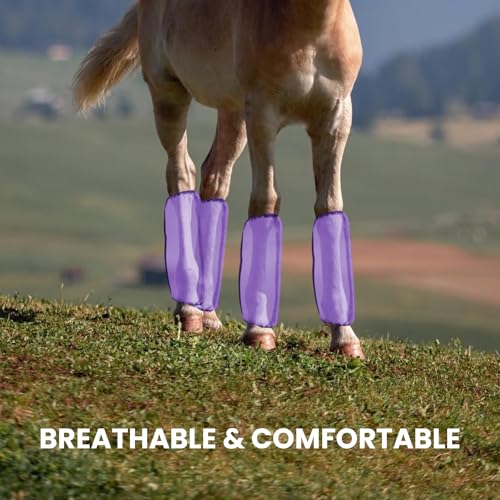 Mesh Fly Boots Horse Fly Boots Mesh Fly Wraps Leg Guard for Horse Set of 4 - color: Purple