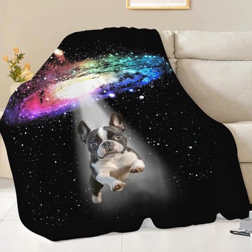 Dynova Boston Terrier Blanket Dog Lovers Gifts Cozy Plush Galaxy Funny Bulldog Throw Blankets Fuzzy Flannel Fleece for Girls Boys Women Men 50"X40" - color: Boston Terrier, size: 50"x40"