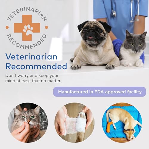 ARCA PET Cat & Dog First Aid Kit for Car - Pet Emergency Kit for Home Office Travel – Dog Camping Essentials with Digital Thermometer, Muzzle & Mini First Aid Pouch (Pack of 2) - size: CoreCare Kit (Pack of 2)
