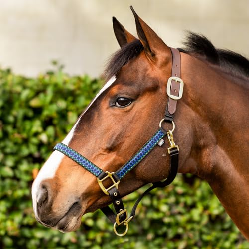 Equinavia Pegasus Adustable Breakaway Horse Halter - color: Blackwatch/Plaid, size: Cob