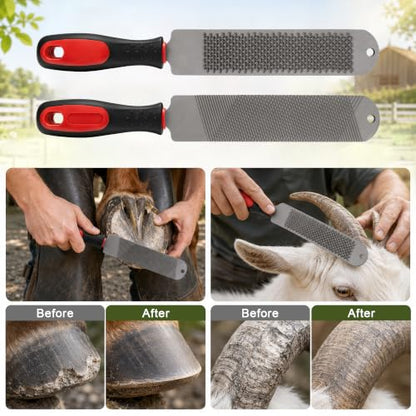 2PCS 15.6inch Double-Side Hoof Rasp File with Long Handle