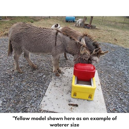 Ritchie Omni-2 Special Green Automatic Livestock Waterer – Heated Stainless Steel Trough, Insulated Energy-Efficient OmniFount Unit for Sheep, Goats, Calves & Small Animals, 120volts, Model 18686