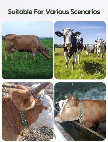 Adjustable 4-Layer Nylon Cow Collar with 2-Rows Metal Buckle