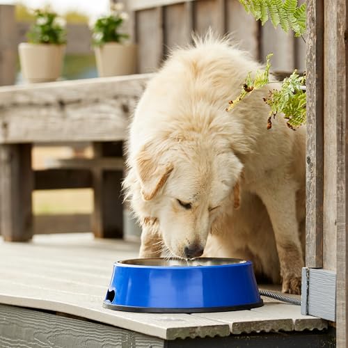 Farm Innovators SB-60 Signature Series 5.5 Quart Electric Heated Pet Water Bowl with Stainless Steel Insert, Thermostatic Control, 60 Watt | Durable Watering Station with Anti-Chew Cord Protector for Dogs and Cats, Supporting Reliable Winter Hydration