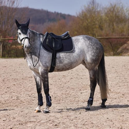 Horze Adepto Open Front Tendon Boots | Durable Shell with Neoprene Lining - Dark Navy - Cob - color: Dark Navy, size: Cob