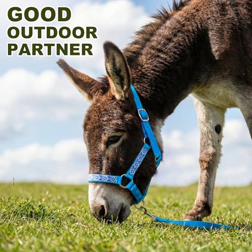 1 Set Mini Donkey Halter with Lead Rope Adjust, Lake Blue - color: Lake Blue