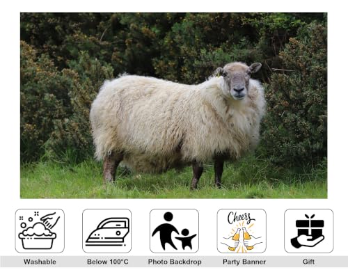 10x8ft Fabric Fluffy Wool Sheep Backdrop Single White Sheep Lush Green Bush Grass Bright Clear Blue Sky Background Tapestry Party Farm Animal Decorations Photo Booth Props - size: 10x8ft