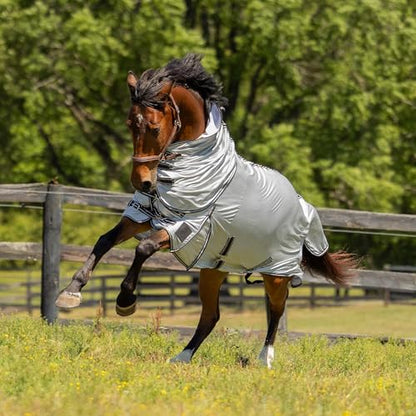 Equinavia Aktiv Athletic Detachable Horse Fly Sheet with Neck, Horse & Pony - size: 84 in